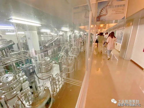 聰油餅,工業(yè)旅游才藏著想你的液